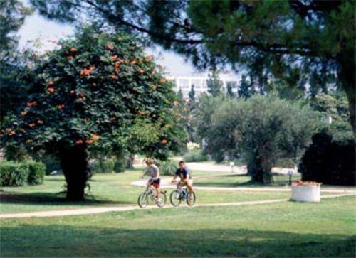 Gerakina Beach Hotell Khalkidiki Eksteriør bilde
